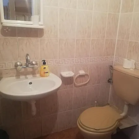 антон петров Guest house