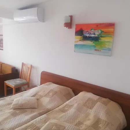 антон петров 게스트하우스 *