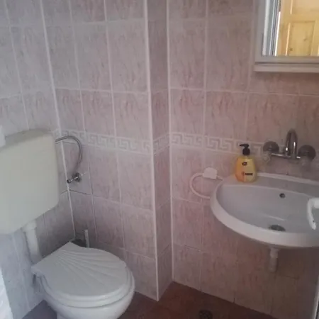 антон петров 네세부르