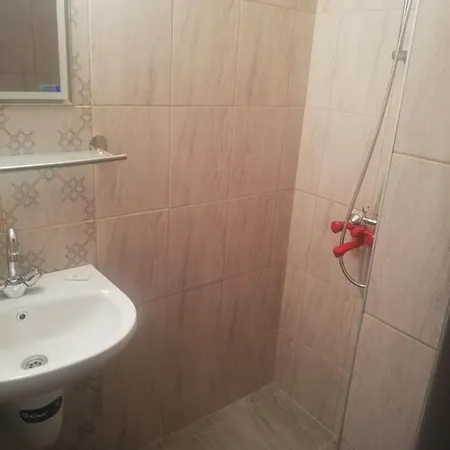 антон петров