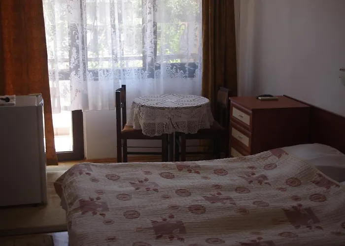 антон петров *