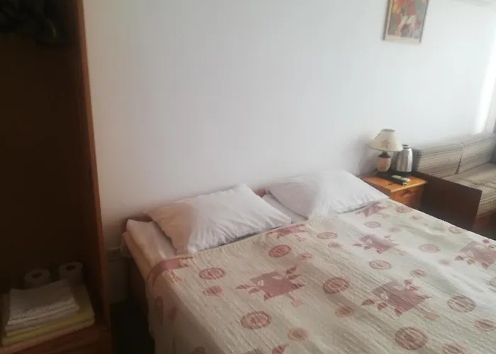 антон петров Guest house