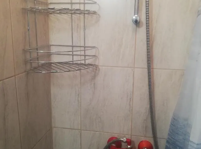 антон петров